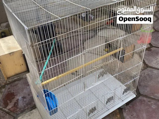 قفص يصلح لجميع أنواع الطيور