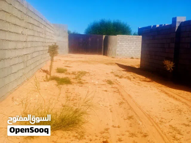 ارض للبيع ربي يبارك مالك طول  قابل للنقاش