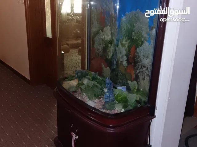 حوض اسماك نوع ممتاز ارتفاع 2ميترو العرض ميترو وعشرين