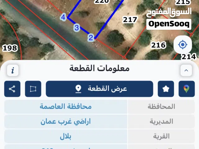 بلال بدر وادي السير
