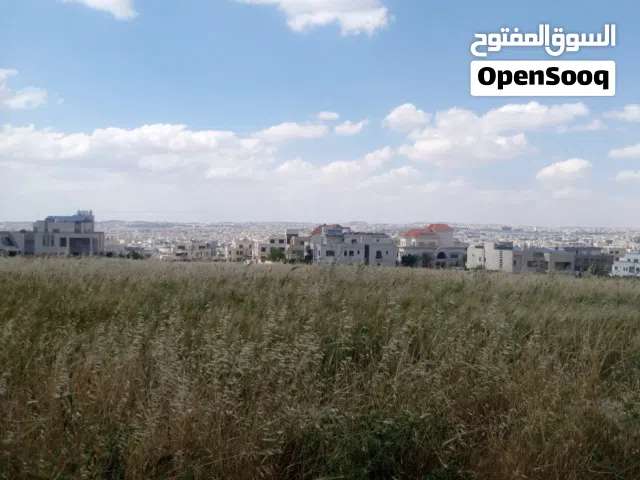 Residential Land for Sale in Amman Al-Thuheir