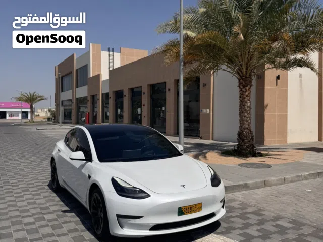 2022 تيسلا موديل 3 Standard