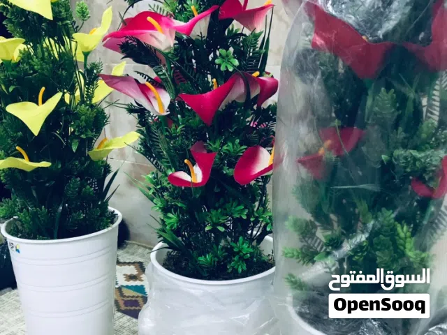 سنادين ورد حجم 80سم