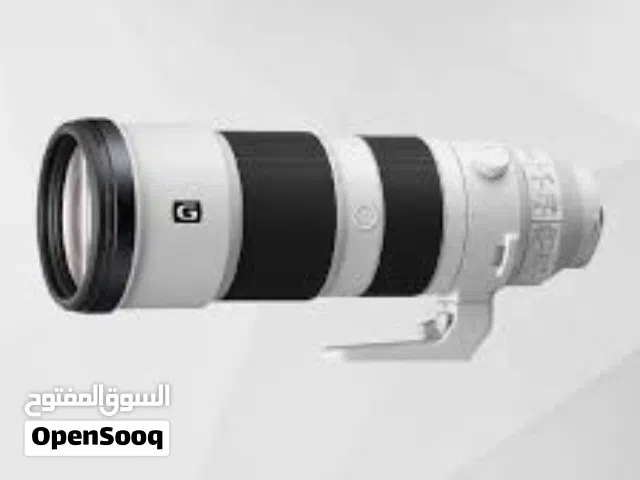 FE 200–600 mm F5.6–6.3 G OSS Full-frame Telephoto Zoom G Lens with Optical SteadyShot-sony