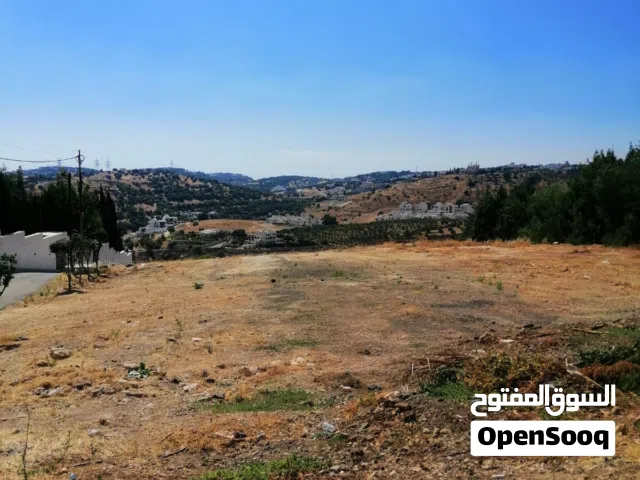 Residential Land for Sale in Amman Dabouq