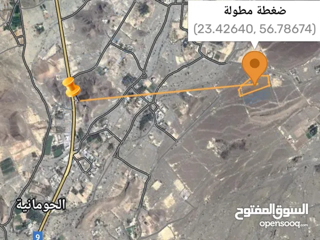 Farm Land for Sale in Al Dhahirah Ibri