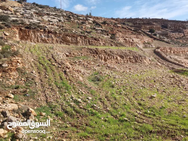 أرض للبيع يوجد بها كوشان طابو