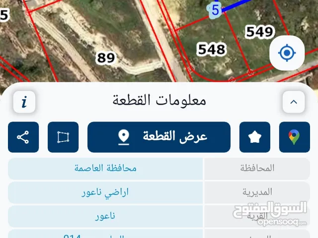Residential Land for Sale in Amman Naour