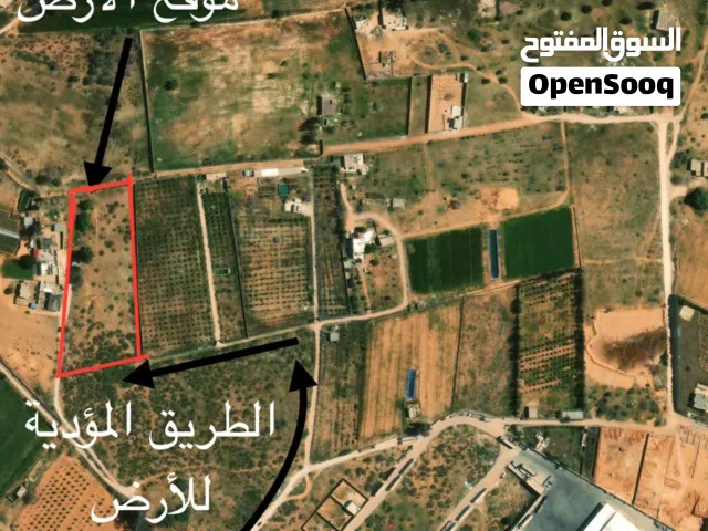 قطعة أرض للبيع بمنطقة الجنين تاجوراء