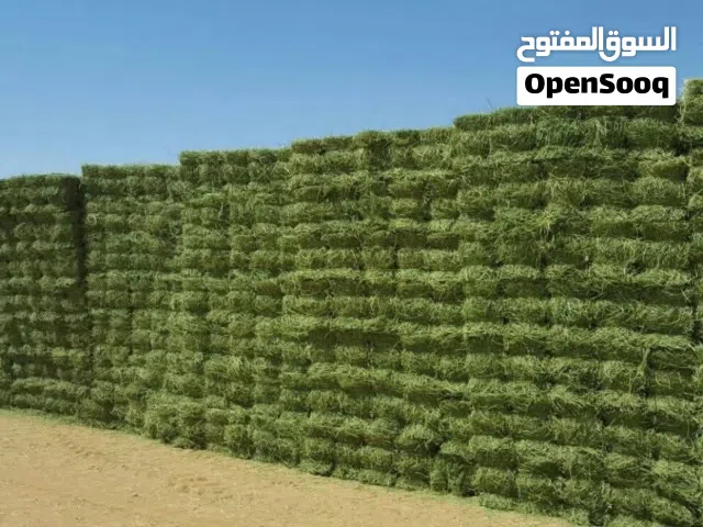 Farm Land for Sale in River Nile Shendi