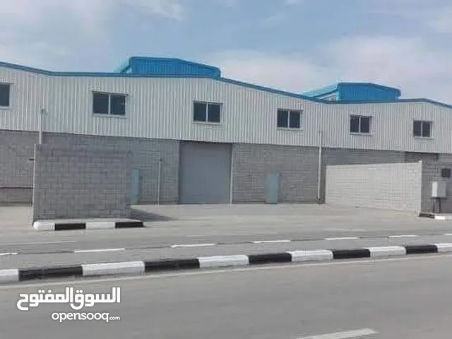 فرصة استثمارية كبرى مشروع مصنع للمناديل الورقية تمليك