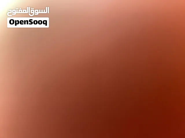 مطلوب شاصي بانشي او رابتر اقصاااد ضروري