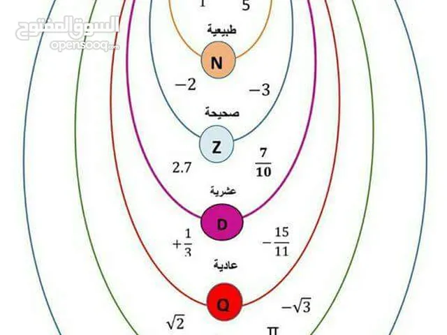 Math Teacher in Irbid