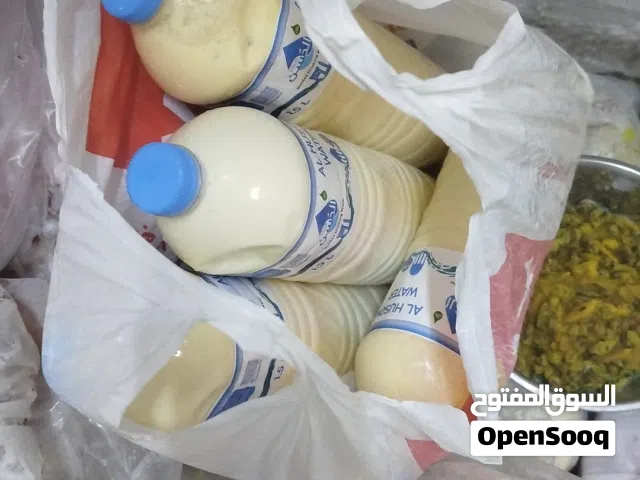 أدور غنم لإنتاج الحليب عشان أترزق منه