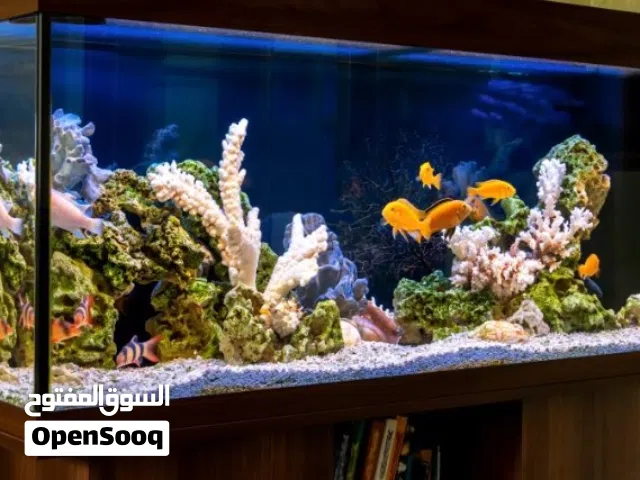 Aquarium for sale