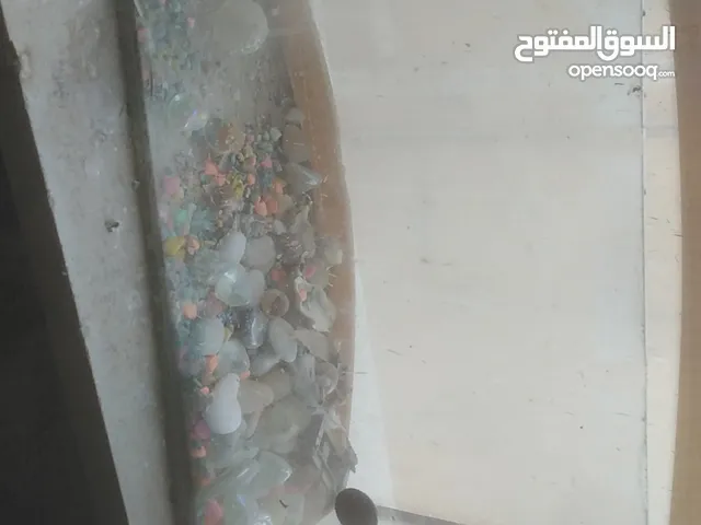حوض سمك للبيع قابل لتفوض