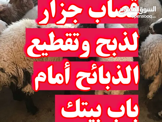 قصاب متنقل تحت الطلب