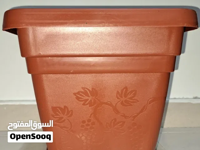 اصيص زراعة