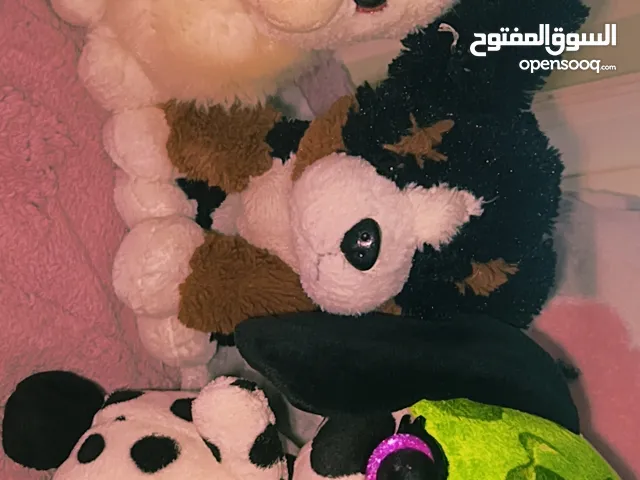 مجموعة الدببة الكيوت وصلت! مو بس دب واحد... بل مجموعة كاملة