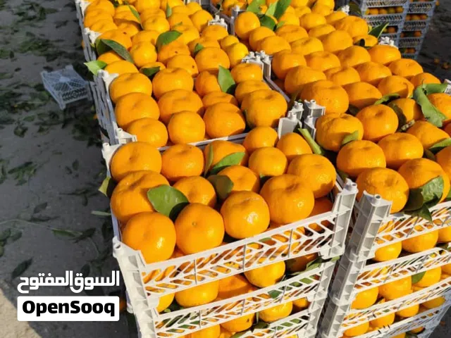 fruit نارنج_ برتقال