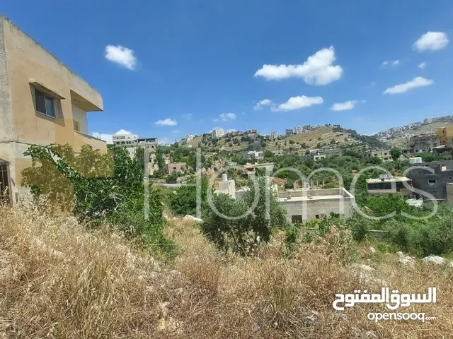 Residential Land for Sale in Amman Badr Jdedeh