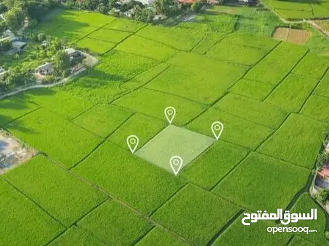 Mixed Use Land for Sale in Nablus Beit Iba