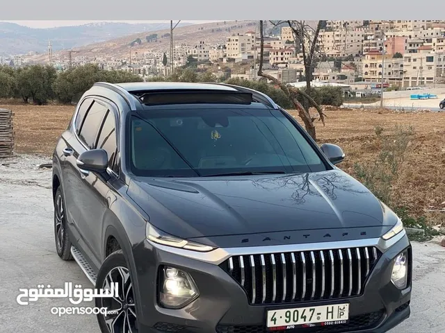 سنتافي 2019 فل الفل الفل