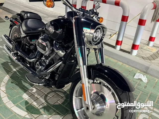 Brand New 2024 Harley-Davidson Fat Boy - Unregistered