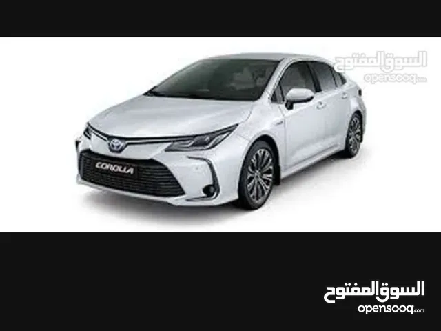 كورلا هايبرد 2024