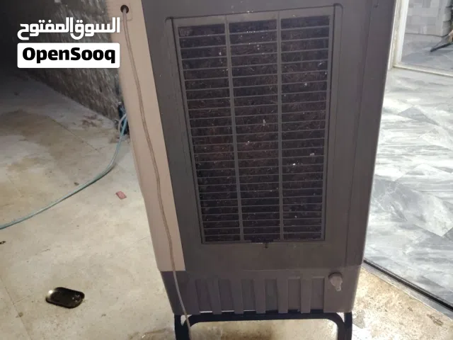 كندشن صحراوي قوي جدن بحالة الوكالة حجم كبير