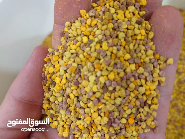 حبوب اللقاح النحل جزائري توجد 16.5كلغ