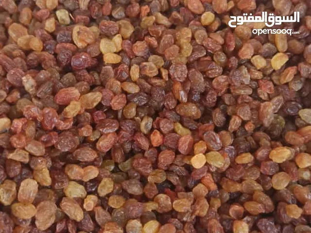 استيراد مواد الغذائية من ايران