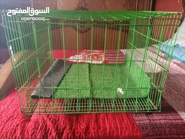 سلاكة قطط عمولة