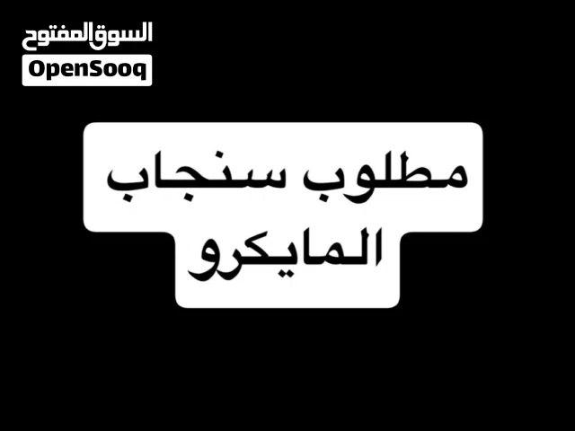 مطلوب سنجاب المايكرو