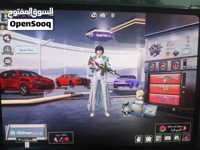 Pubg Accounts and Characters for Sale in Basra