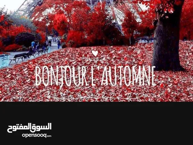 معلمة اللغة الفرنسية مواليد فرنسا لغة الام فرنسي