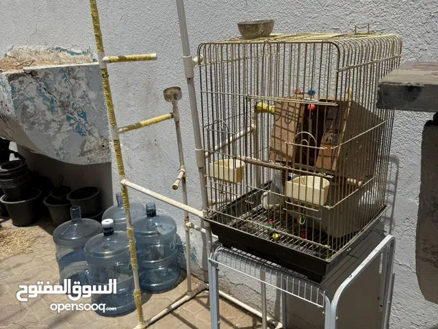 قفص واستاند ببغاء طيور كبيره