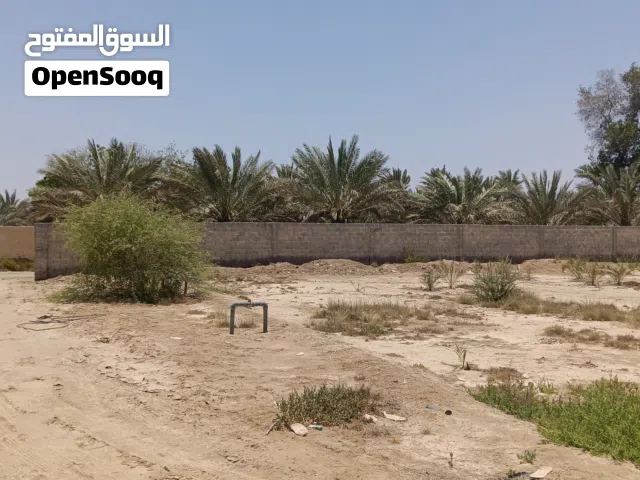 Farm Land for Rent in Al Batinah Saham