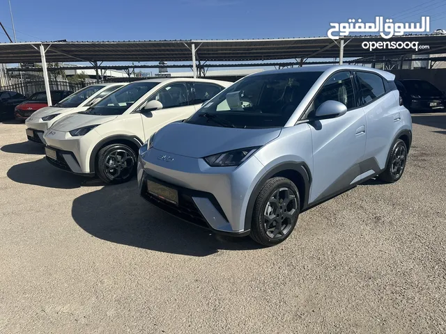 Byd seagull 2024 zero