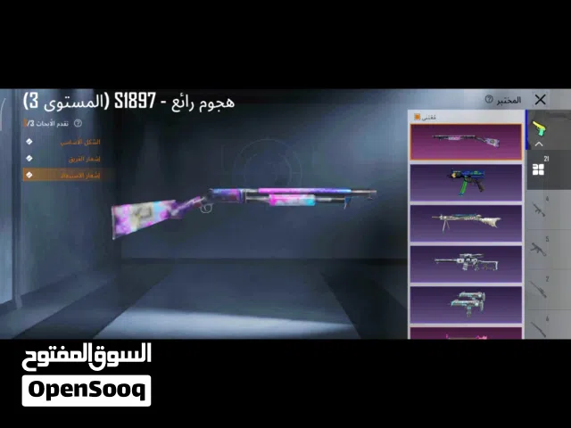 Pubg Accounts and Characters for Sale in Assiut