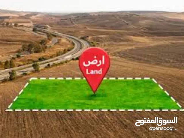 ارض كوشان مستقل تصنيف A  اطلالة رائعة في اجمل اراضي الناقورة قرب نابلس