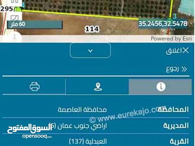 ارض مشترك قطعه 520 متر للبيع قابل لتقسيط بدفعه