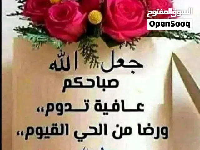 للبيع تلفزيون بانسونيك شغال تمام