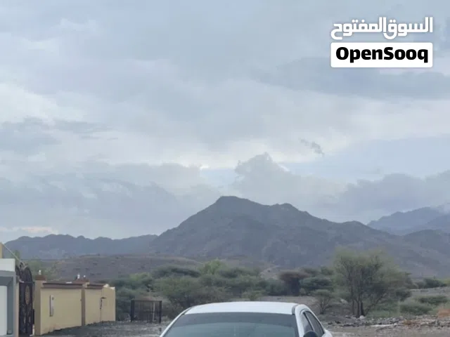 توريس بوليسي اصل للبيع 2017