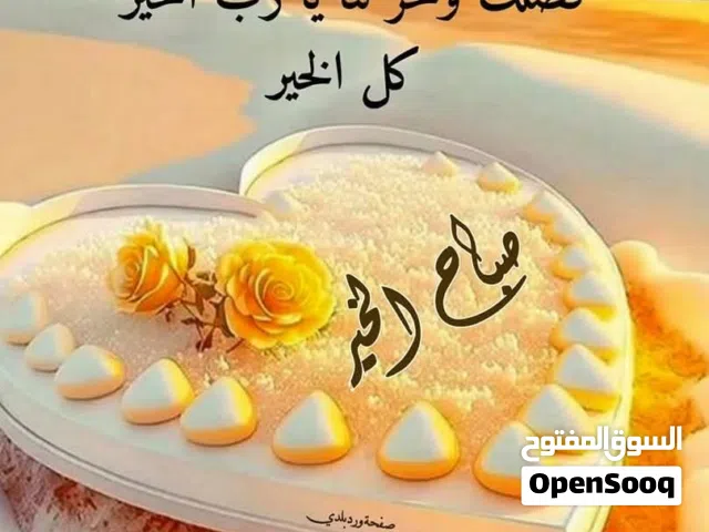 دهين كافة اعمال الدهان