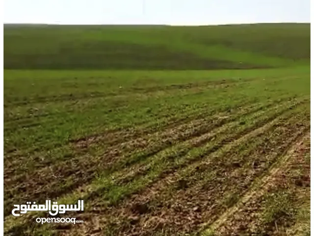 Farm Land for Sale in Mosul Other