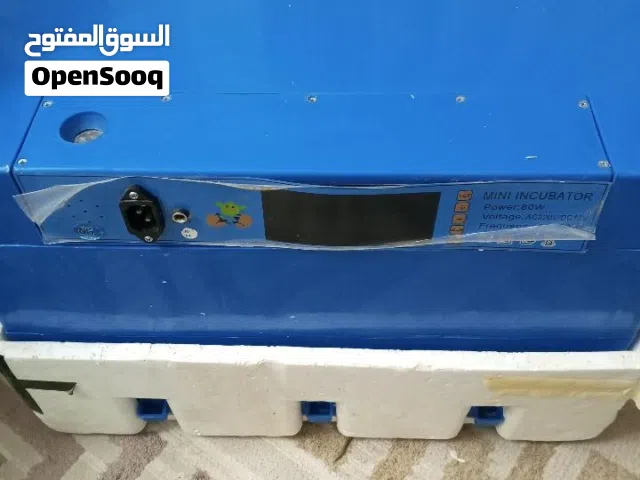 فقاسه بيض دجاج