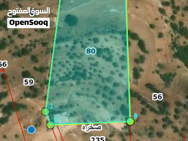 Farm Land for Sale in Ajloun Sakhra