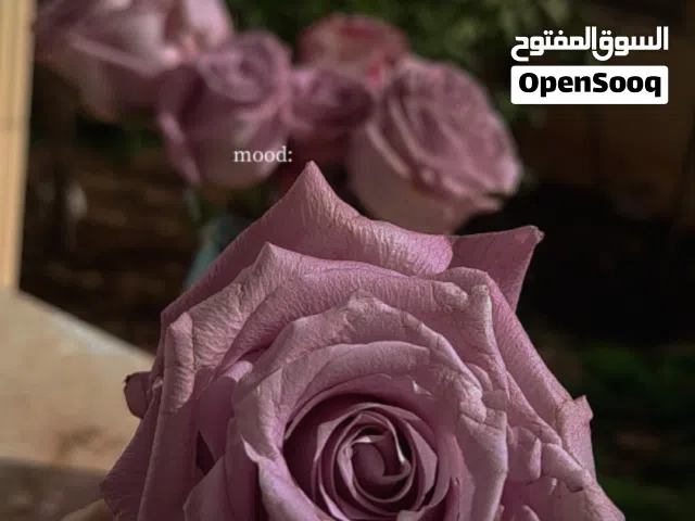 فستان ساتان زهري بارد
