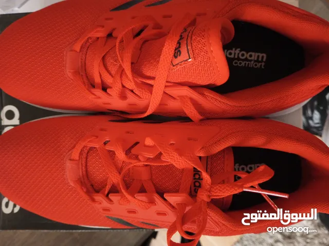 43.5 Sport Shoes in Cairo